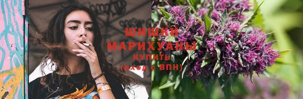 прущий лед Белокуриха