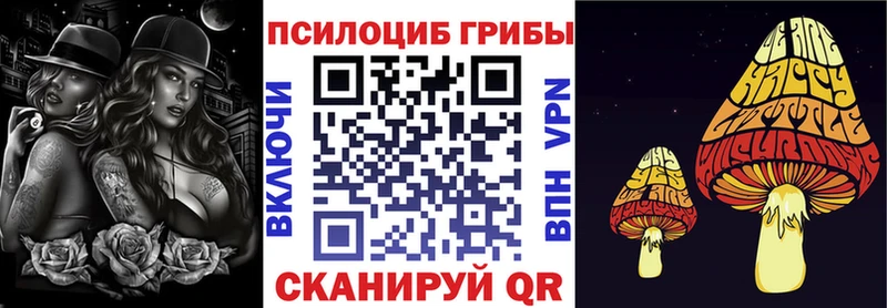 omg вход  Калуга  Псилоцибиновые грибы Psilocybe  сколько стоит 